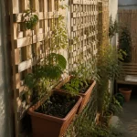 Idée pour cacher un mur exterieur : claustra en bois, treillis et plantes grimpantes